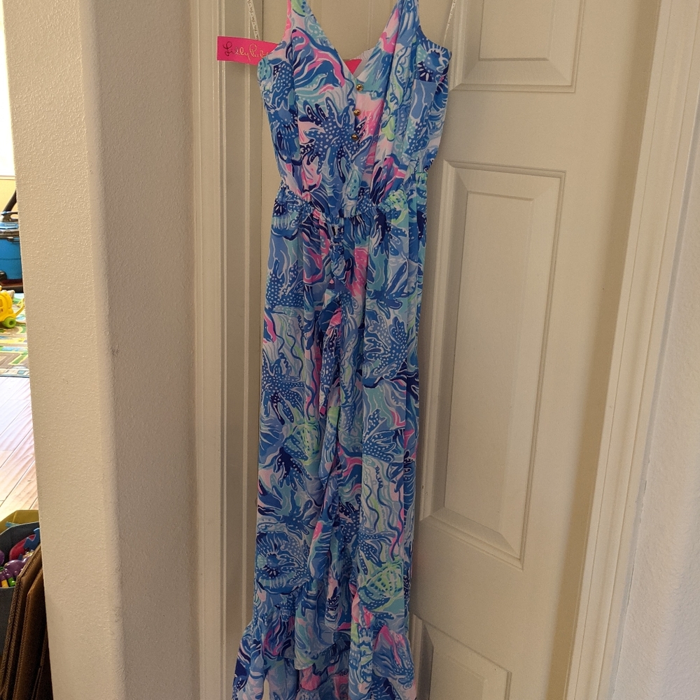 NWT Saltwater Blue Mareena Maxi Dress XS